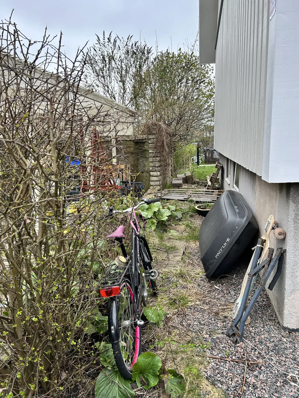 Smal och igenvuxen passage vid ett hus innan arbetet