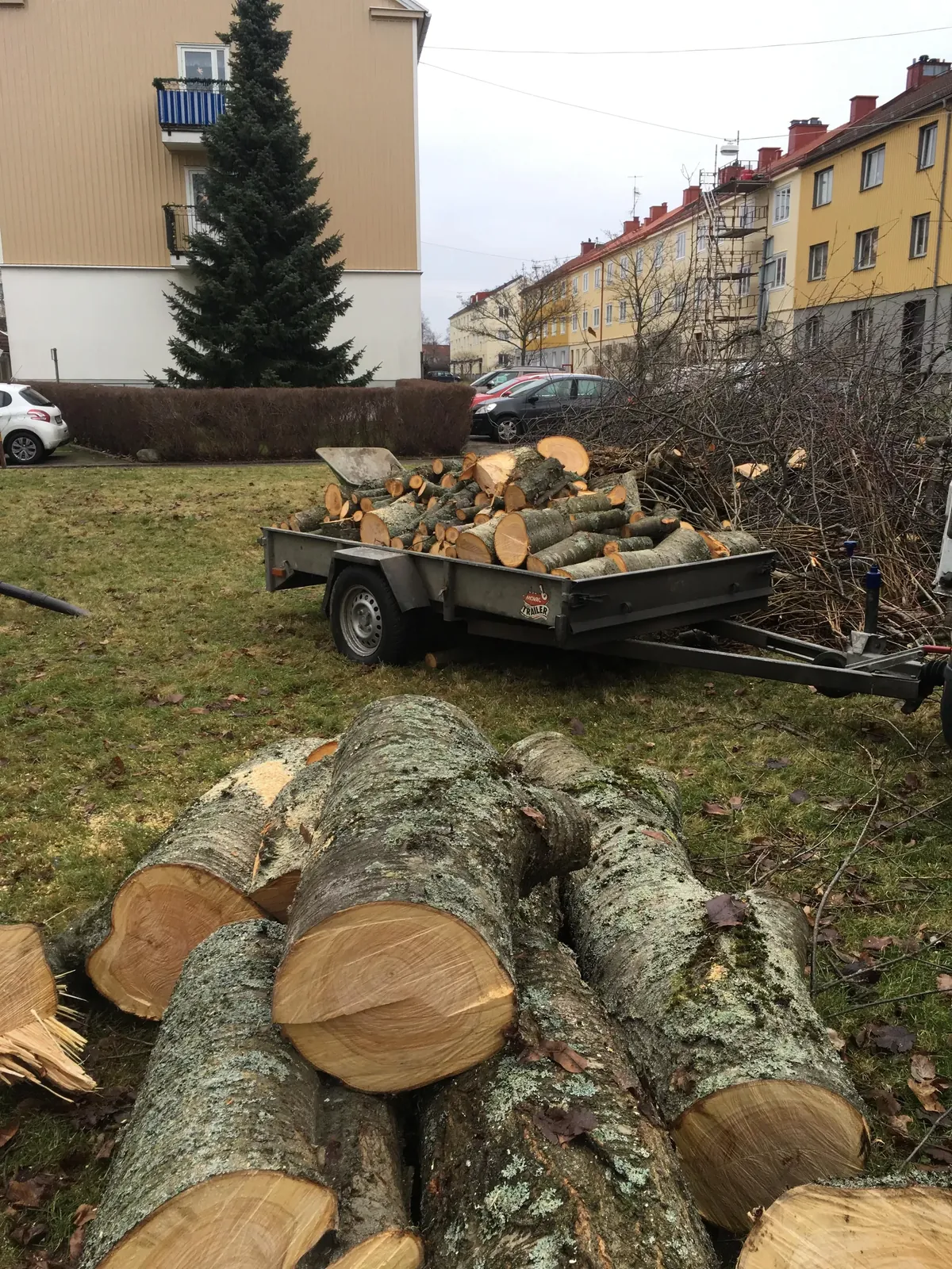 Uppsågad ved och stockar på en släpkärra