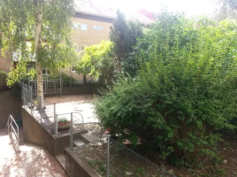 Innergård med igenvuxna buskar och slitna ytor före arbetet